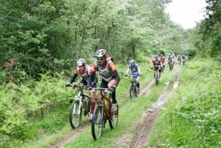 Excursiones en bici de montaña
